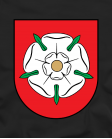 Alytaus herbas Alytaus herbas